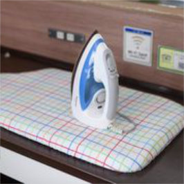 Steam iron rental